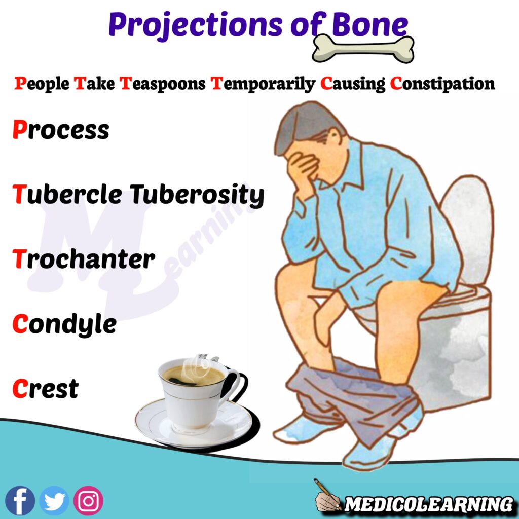 Projections In Bone Mnemonic