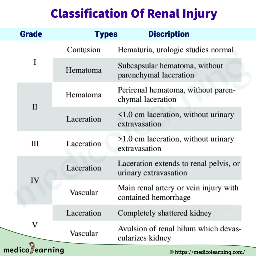 Classification Of Renal Injury Flash Card