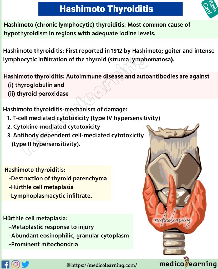 Hashimoto's disease (chronic lymphocytic thyroiditis )