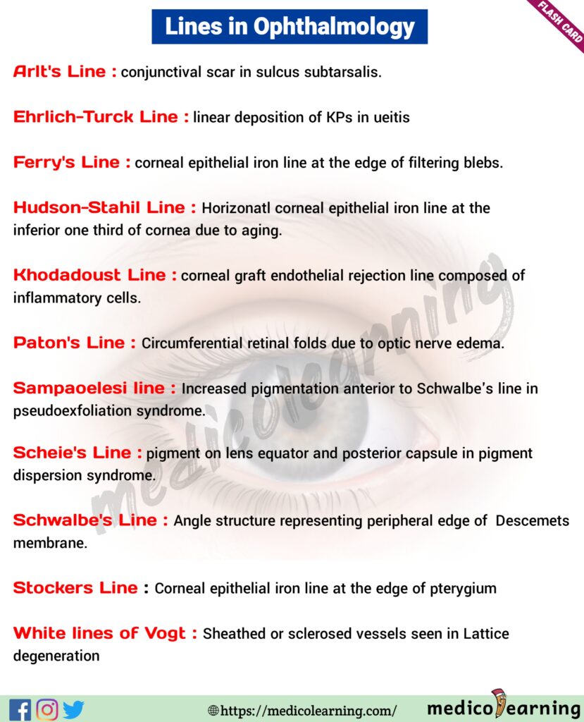 Lines in ophthalmology