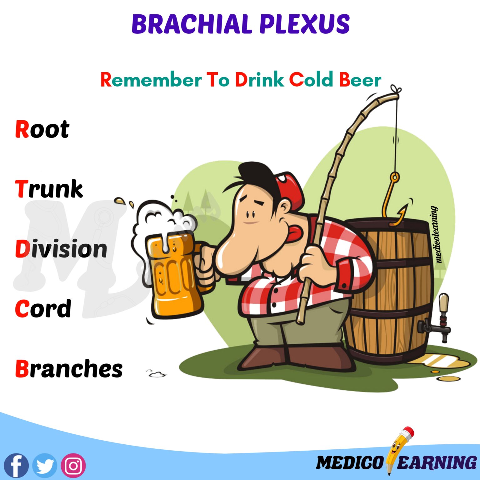 Brachial Plexus Mnemonic MedicoLearning