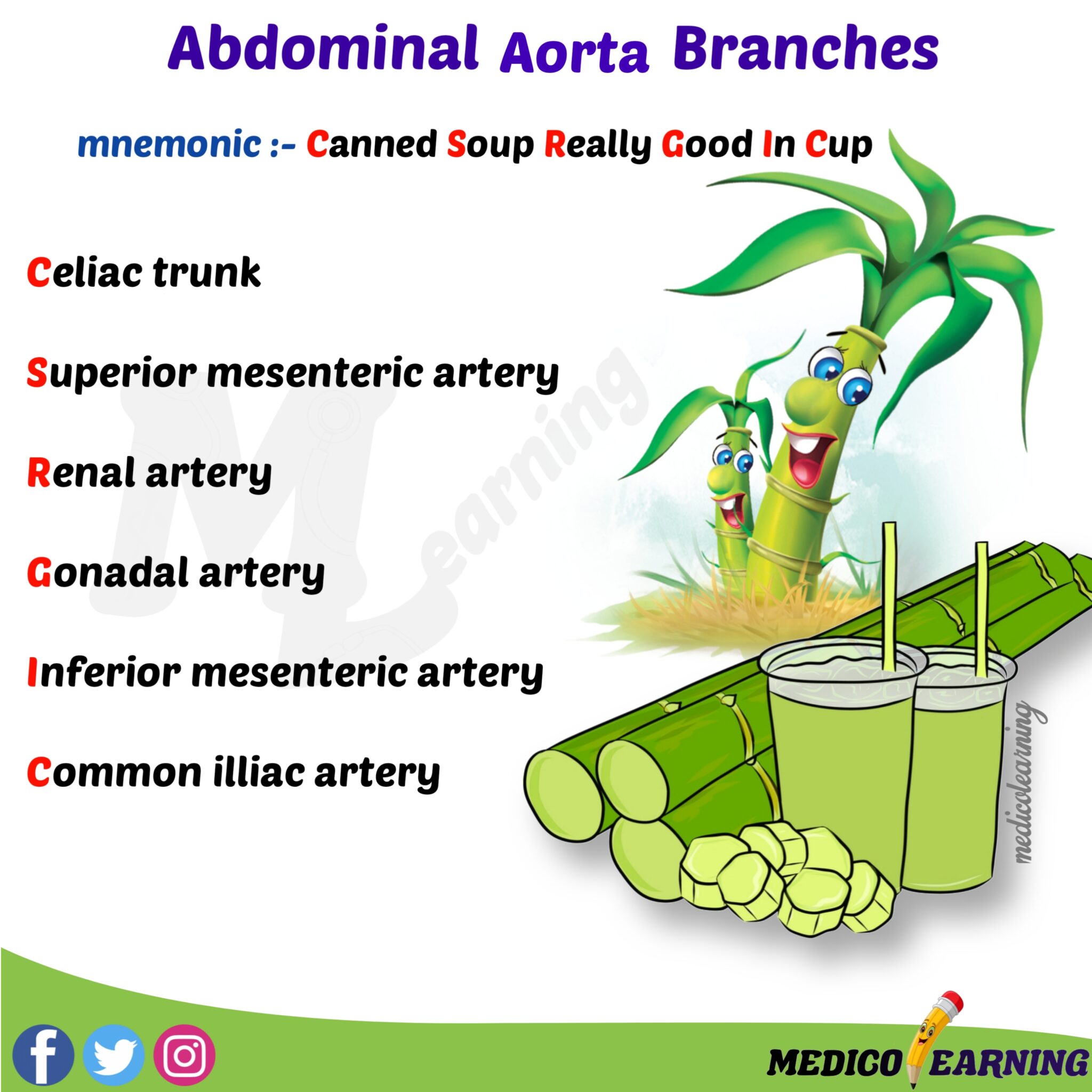 Abdominal aorta branches mnemonic medicolearning