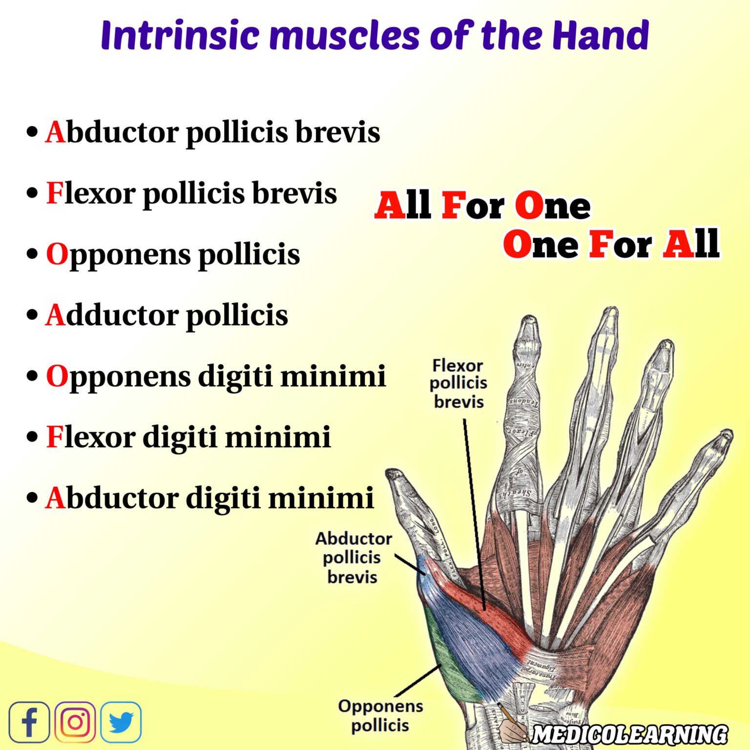 intrinsic-muscles-of-hand-mnemonic-medicolearning