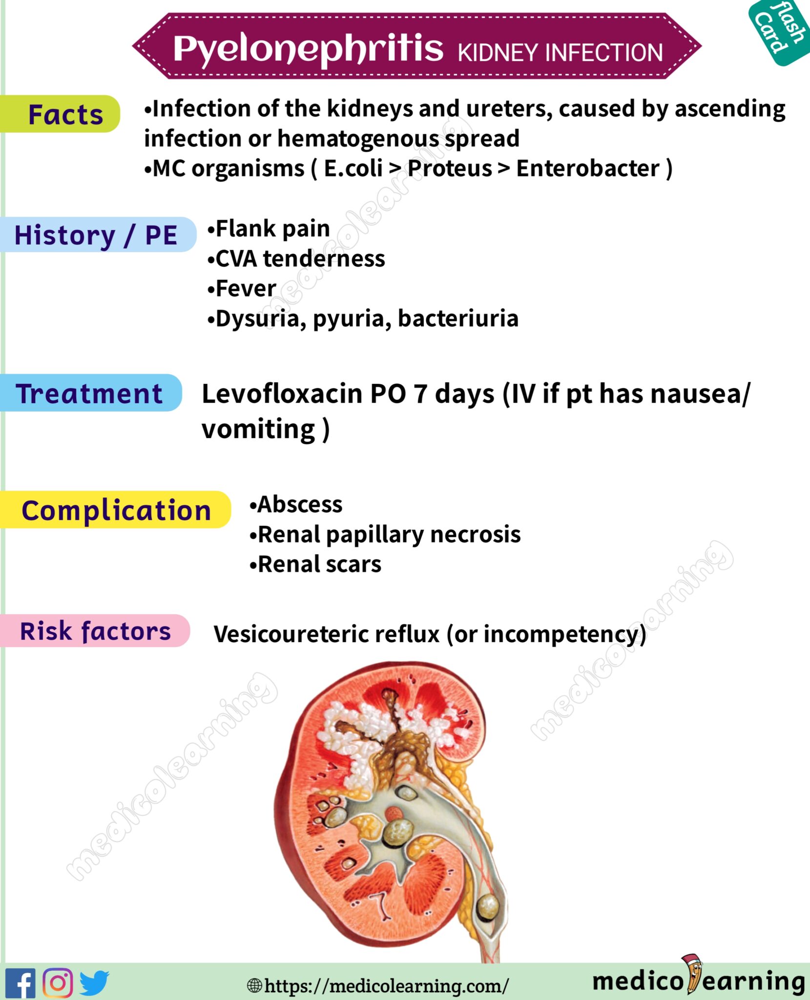 chronic-pyelonephritis-pathology-made-simple