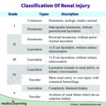 Read more about the article Classification Of Renal Injury