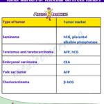 Read more about the article Markers Of Testicular Tumours