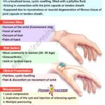 Read more about the article GANGLION