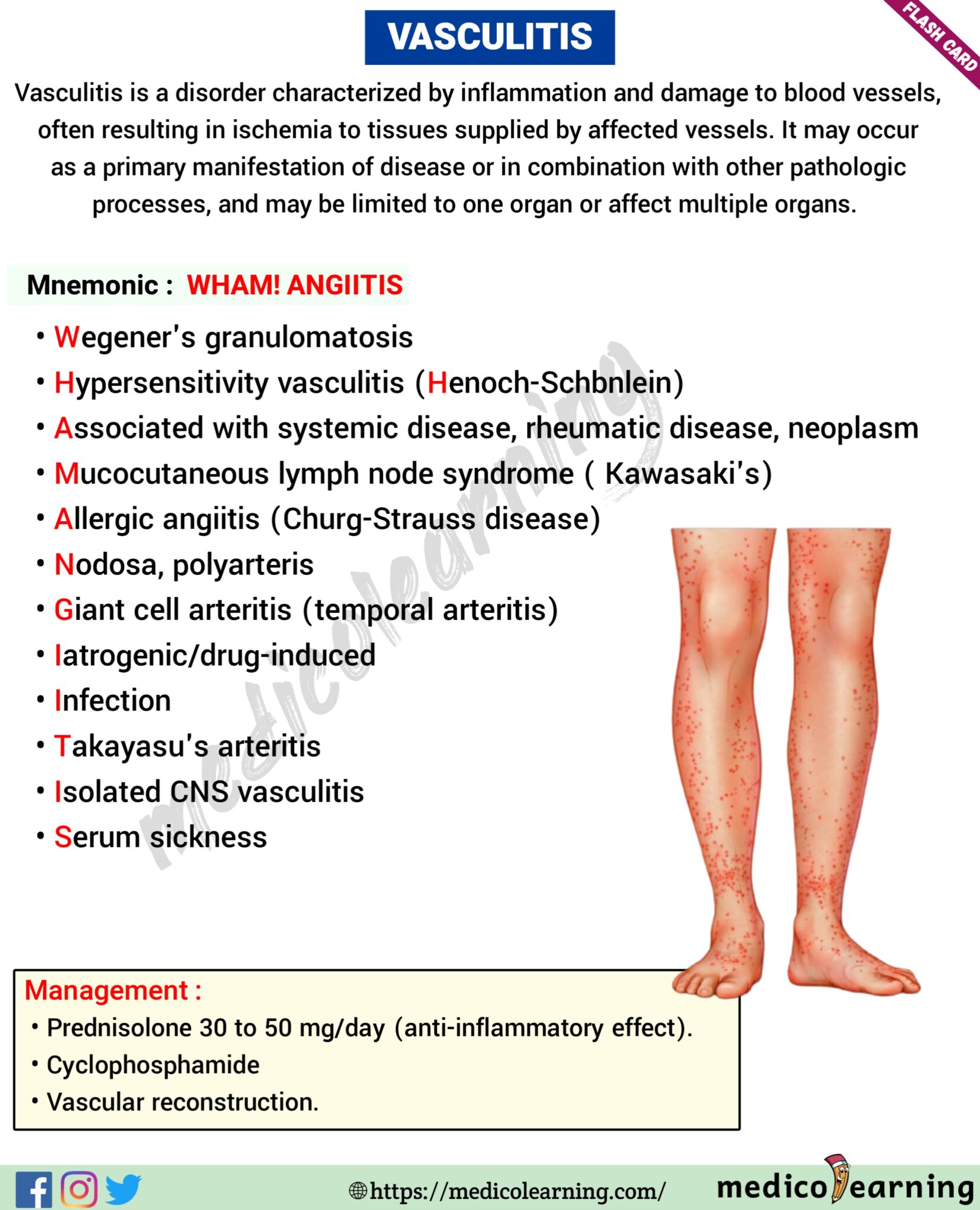 Vasculitis Medicolearning