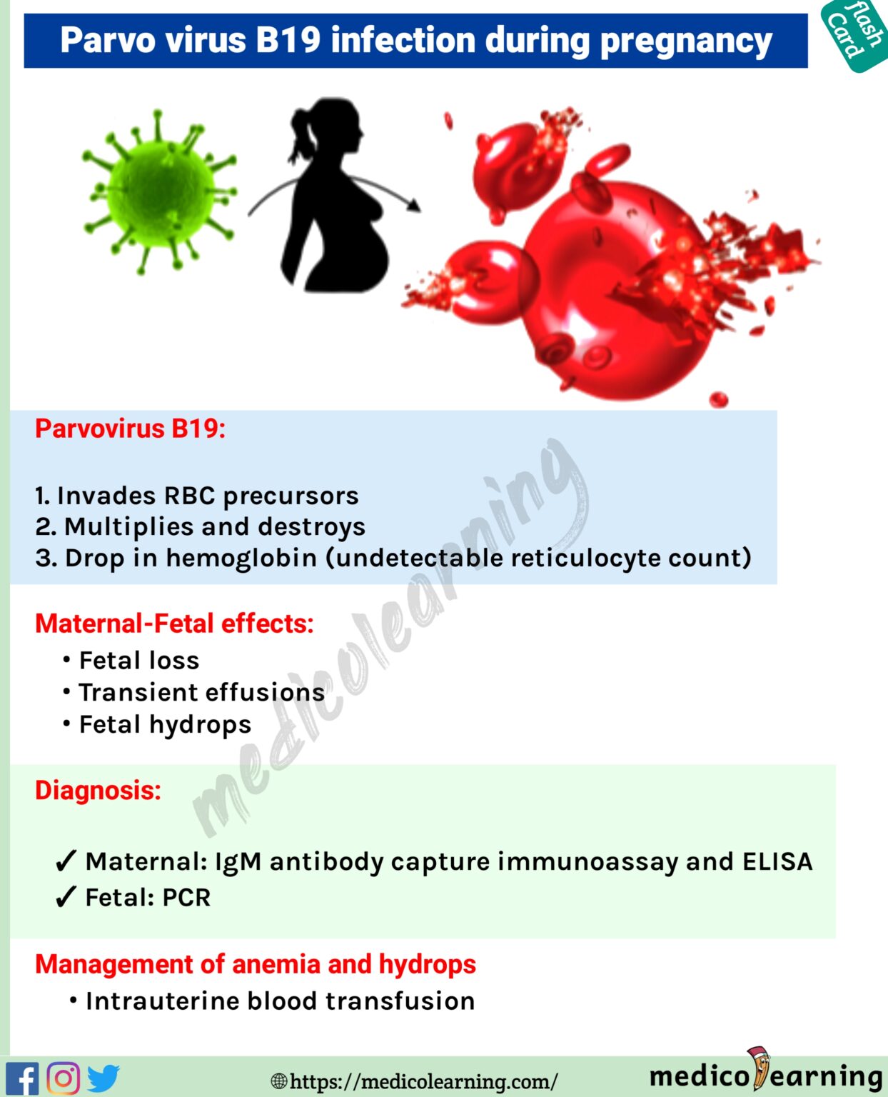 Chronic Bronchitis MedicoLearning   20210413 171042 1244x1536 