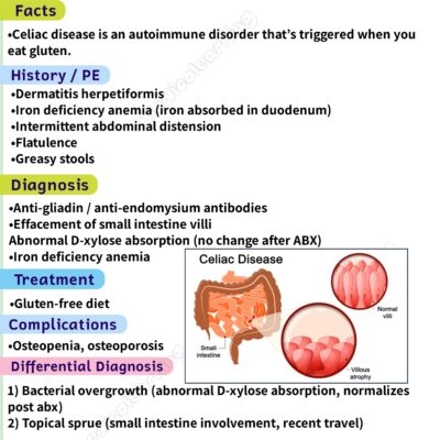 Surgery Mnemonics – MedicoLearning