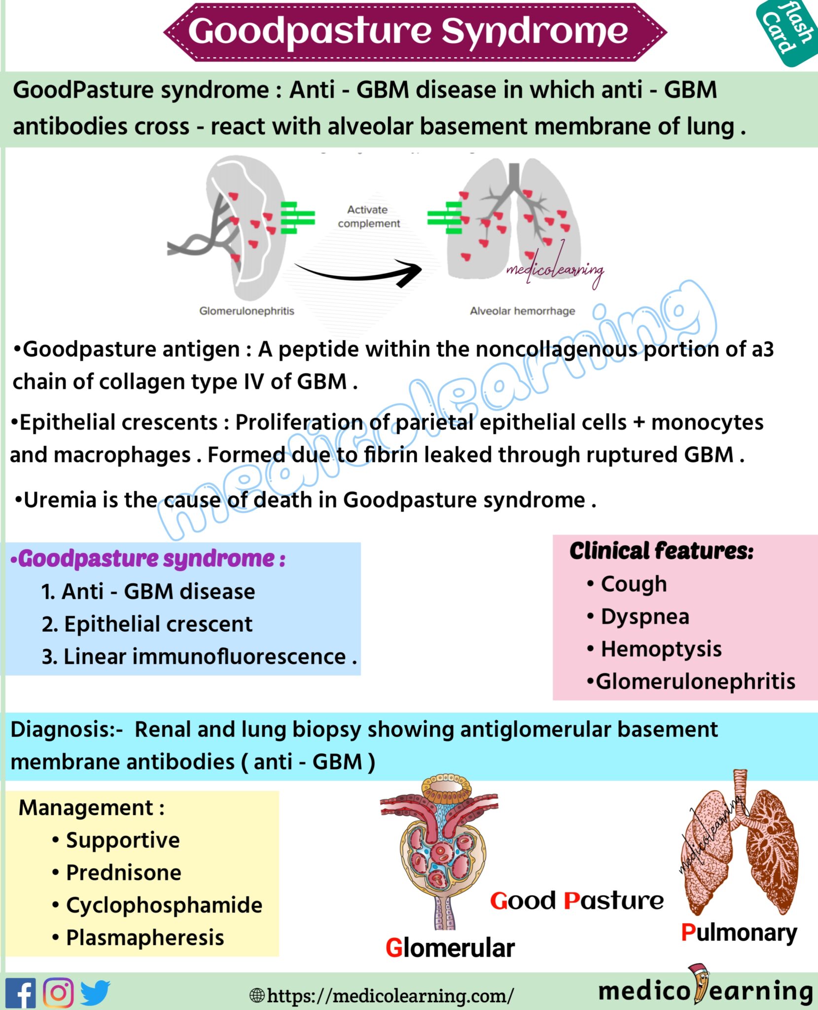 Why Is It Called Goodpasture Syndrome