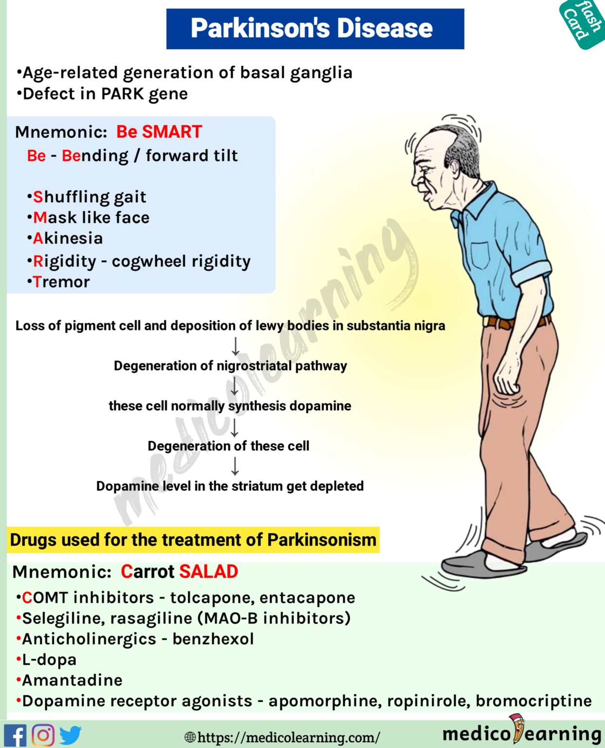 Parkinson’s Disease – Medicolearning