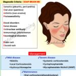 Read more about the article systemic lupus erythematosus