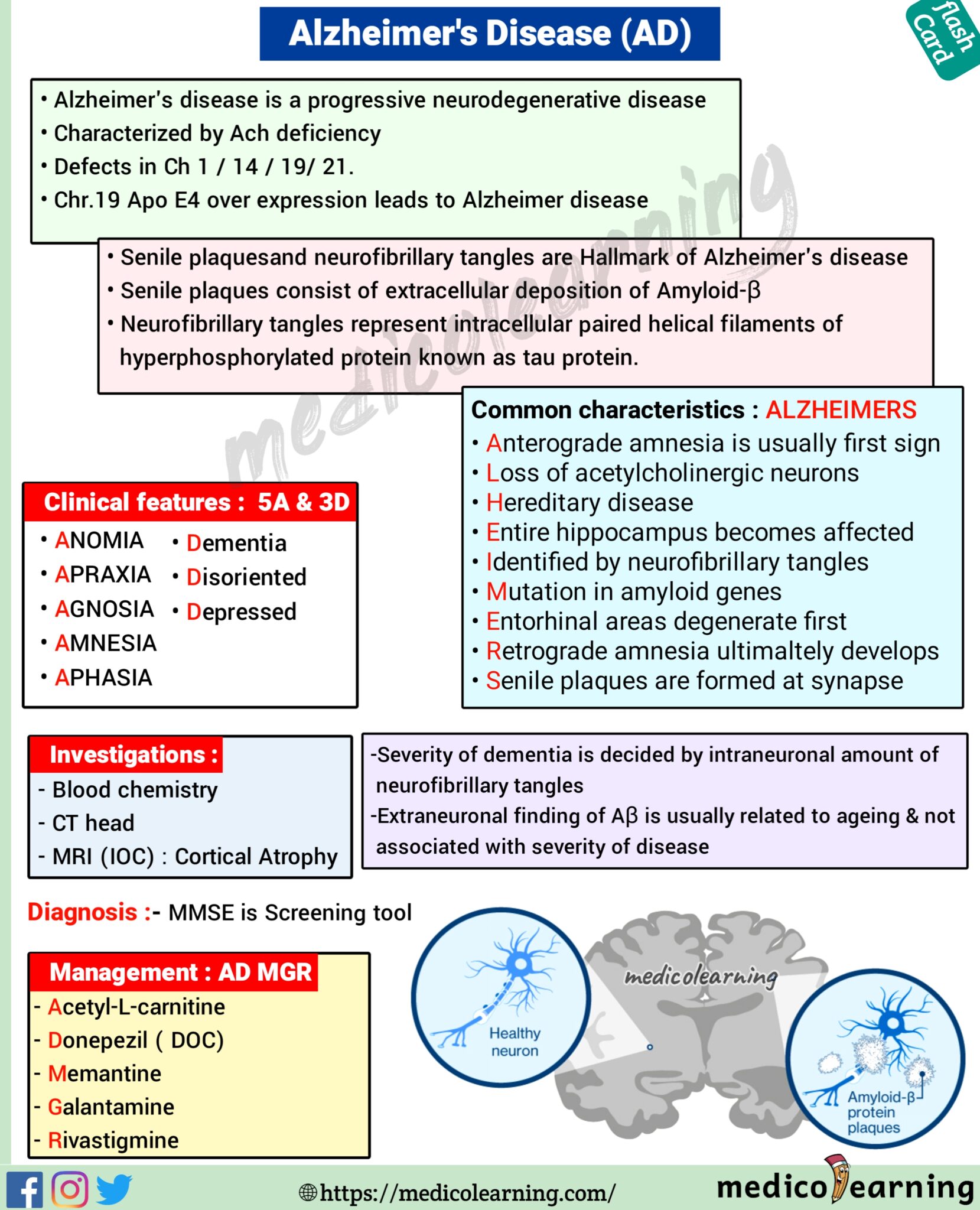 Chronic Bronchitis MedicoLearning   20210524 123926 1659x2048 