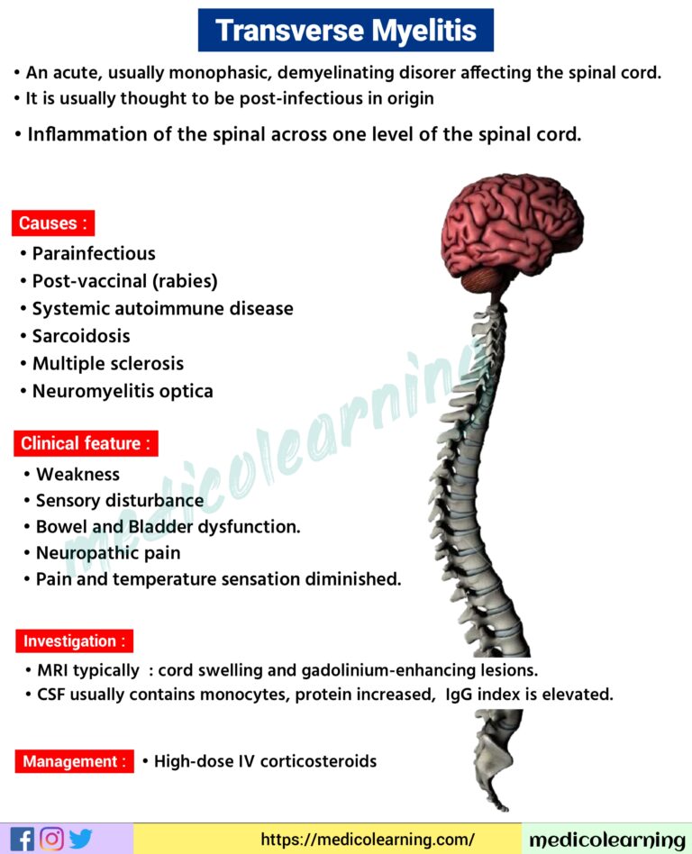 Transverse Myelitis – MedicoLearning