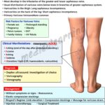 Read more about the article Varicose veins