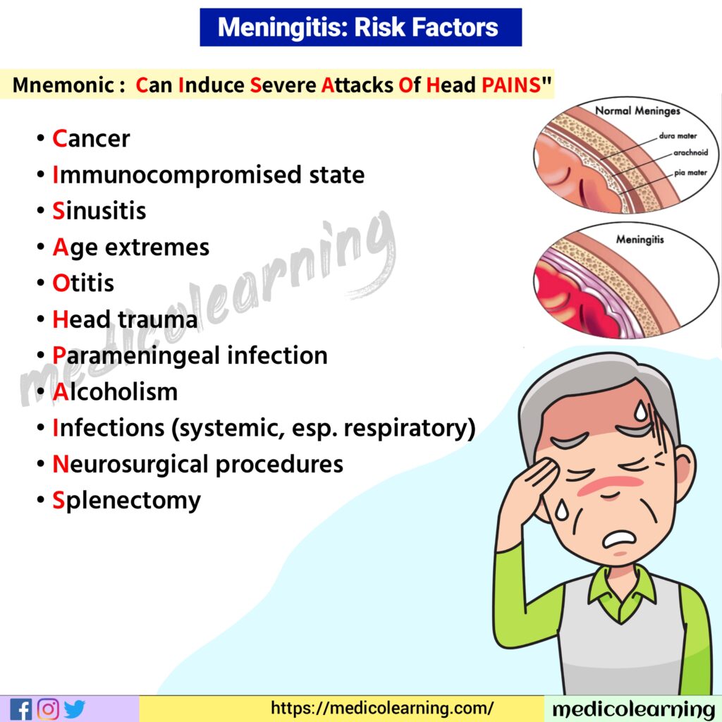 Meningitis Risk Factors Medicolearning